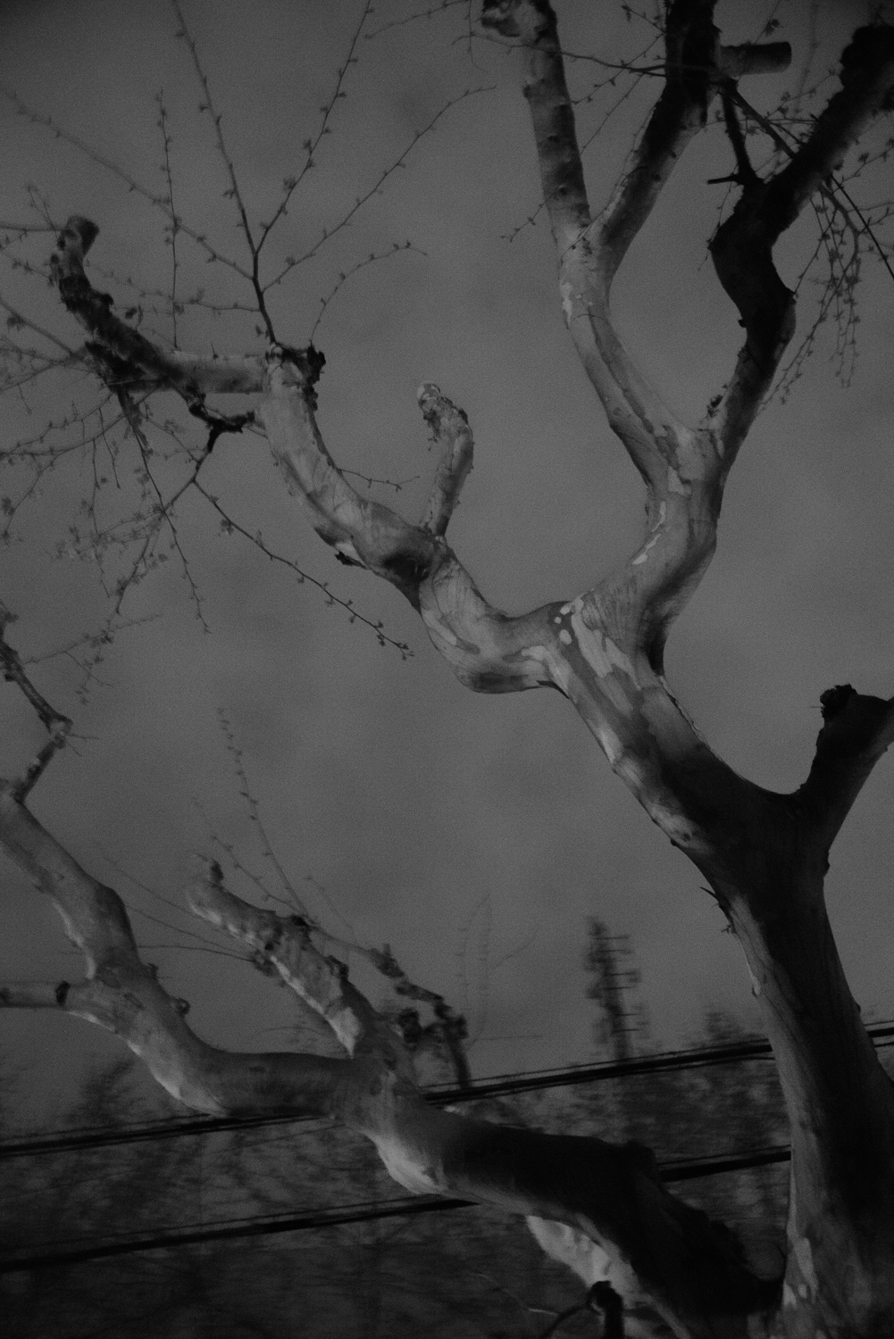 上海 2020 image 44